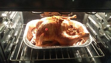 The turkey (November 2011) The turkey (November 2011)