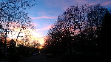Sunset (November 2011) Sunset (November 2011)