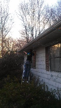 We removed the lights after the Epiphany (January 2012)