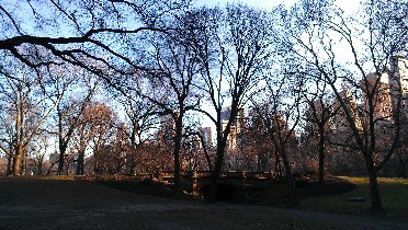 Central Park (Január 2012) Central Park (Január 2012)