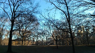 Central Park (January 2012) Central Park (January 2012)
