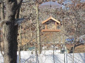 Bird feeder (February 2012) Bird feeder (February 2012)