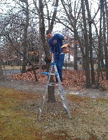 Bird feeder (March 2012) Bird feeder (March 2012)