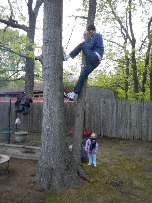 This is how you climb a tree