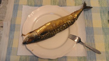 Today, we had a real údenáč for lunch. I bought it yesterday in a Russian store in Brooklyn. (August 2012) Today, we had a real údenáč for lunch. I bought it yesterday in a Russian store in Brooklyn. (August 2012)
