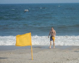 Beach Day (July 2012) Beach Day (July 2012)