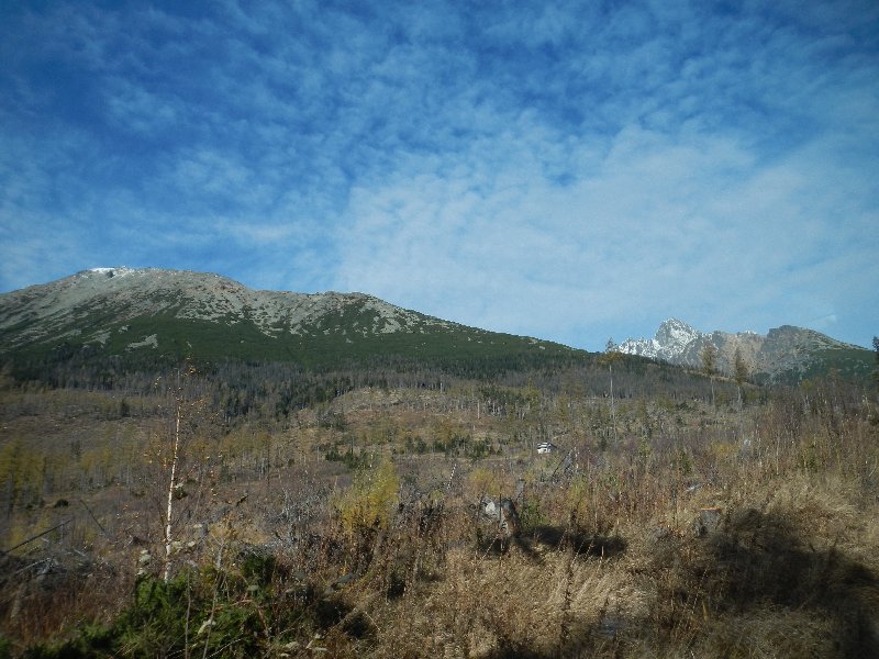 A storm few years ago wiped out the forest (November 2012)