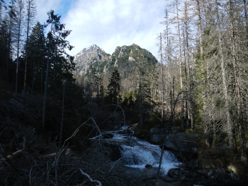 Tatry picture 31275