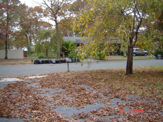 Hurricane Sandy picture 31088