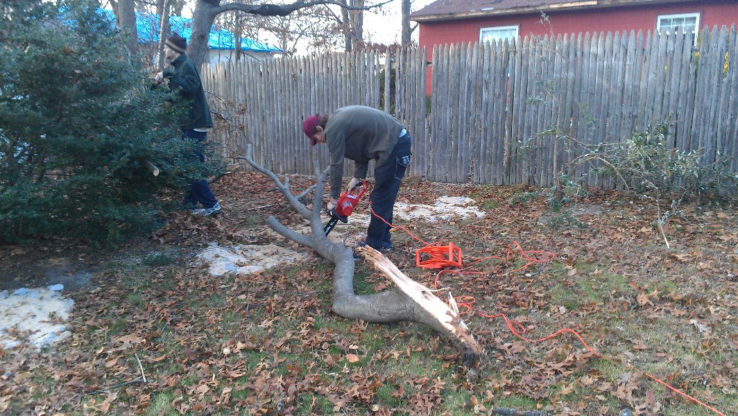 Boys helped me to clean the backyard - about a month after