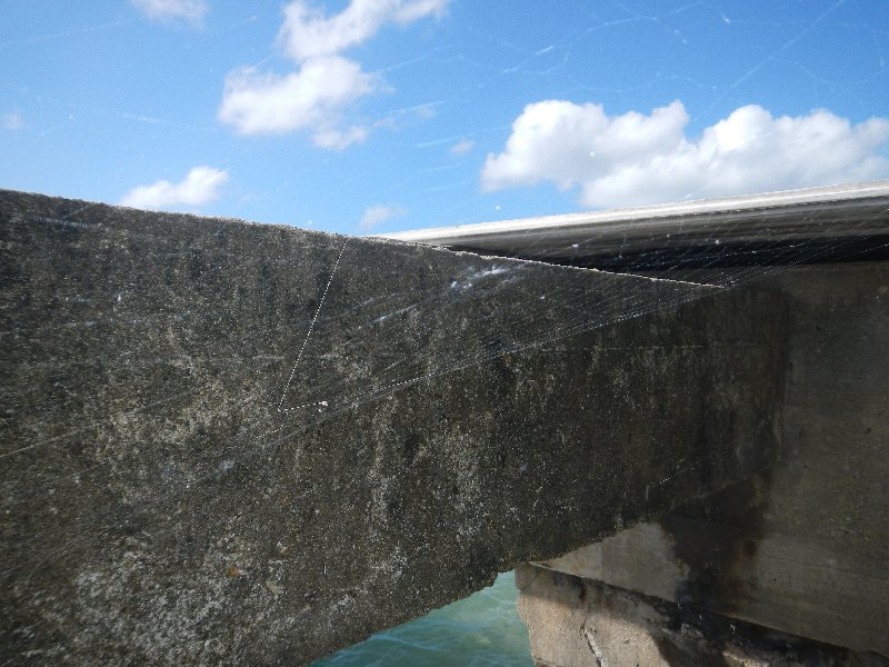 Spiderweb at the old pier