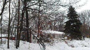 Blizzard (February 2013) Blizzard (February 2013)