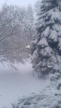 Blizzard (March 2013) Blizzard (March 2013)