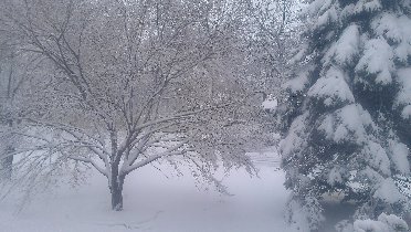 Blizzard (March 2013) Blizzard (March 2013)