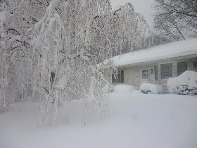 Blizzard (February 2013) Blizzard (February 2013)
