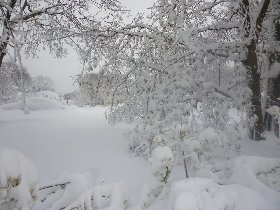 Blizzard (February 2013) Blizzard (February 2013)