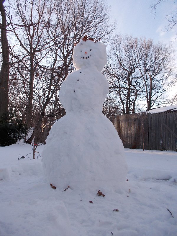 Snowman picture 31846