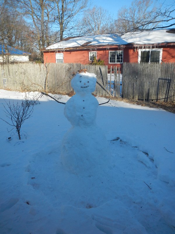 Snowman picture 31955