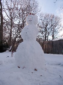 Snowman (February 2013) Snowman (February 2013)