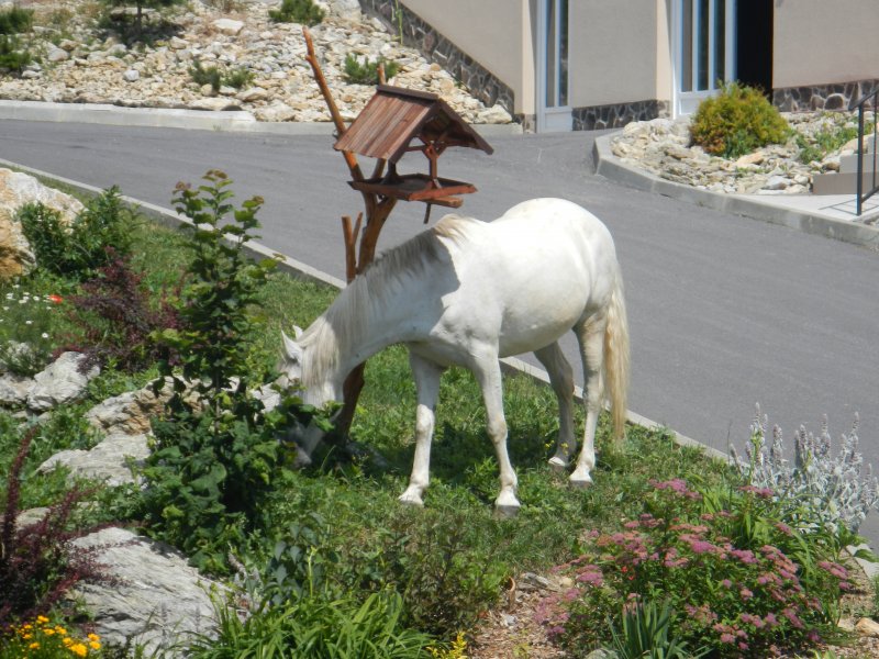 Gardener