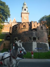 Wawel (July 2013) Wawel (July 2013)