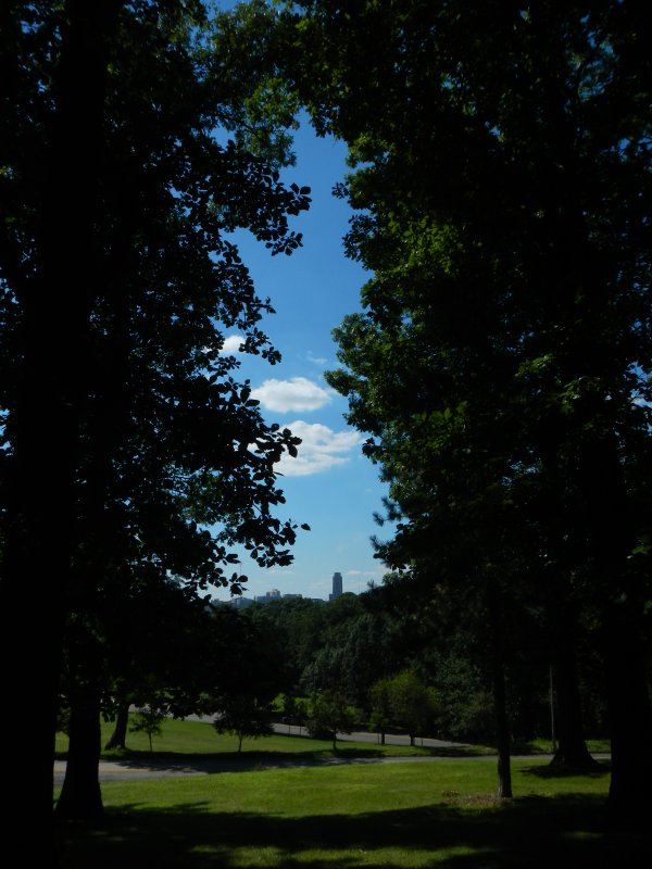 Schenley Park picture 33772