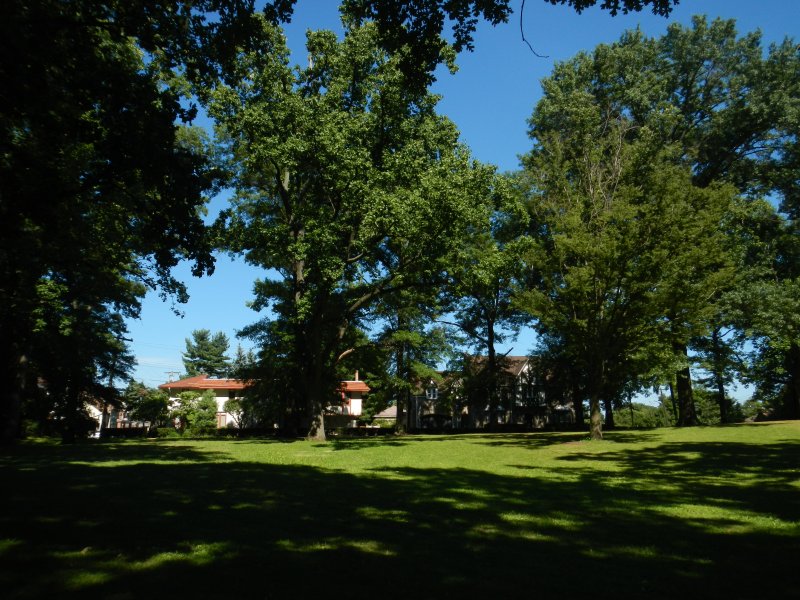 Schenley Park obrzok 33773