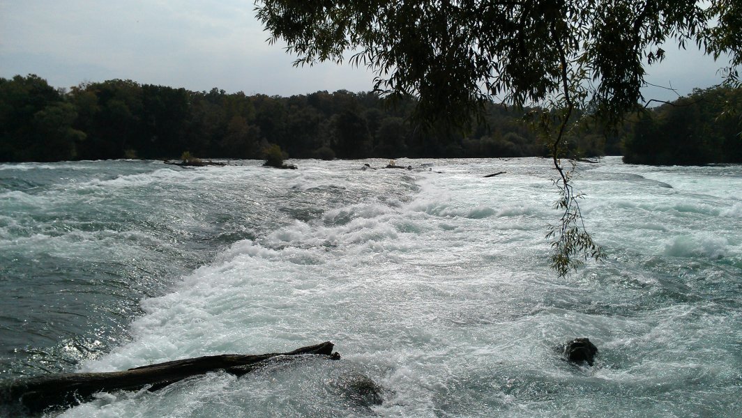 The Rapids