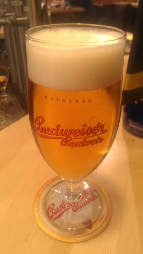 Real Budweiser - the Czech original - at Vienna airport