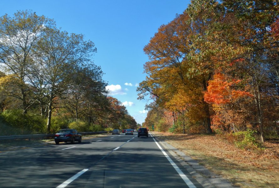 Cesar drove me to airport - beautiful fall colors all around