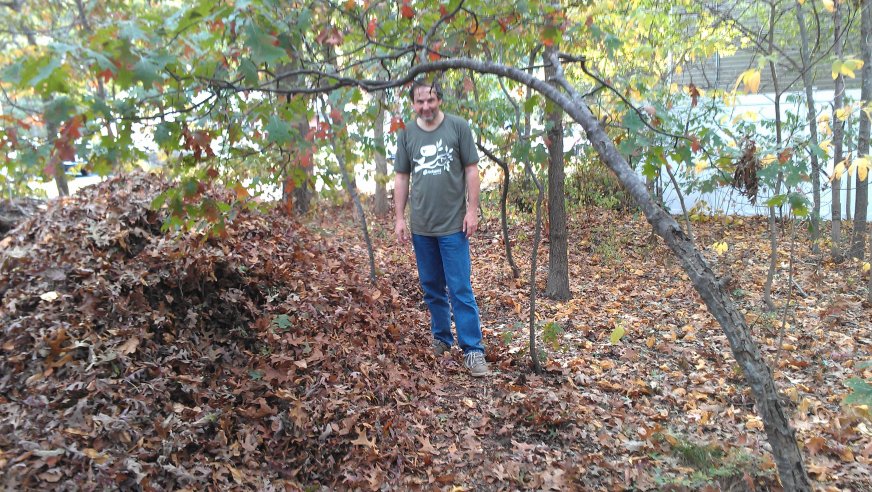 Big pile of leaves