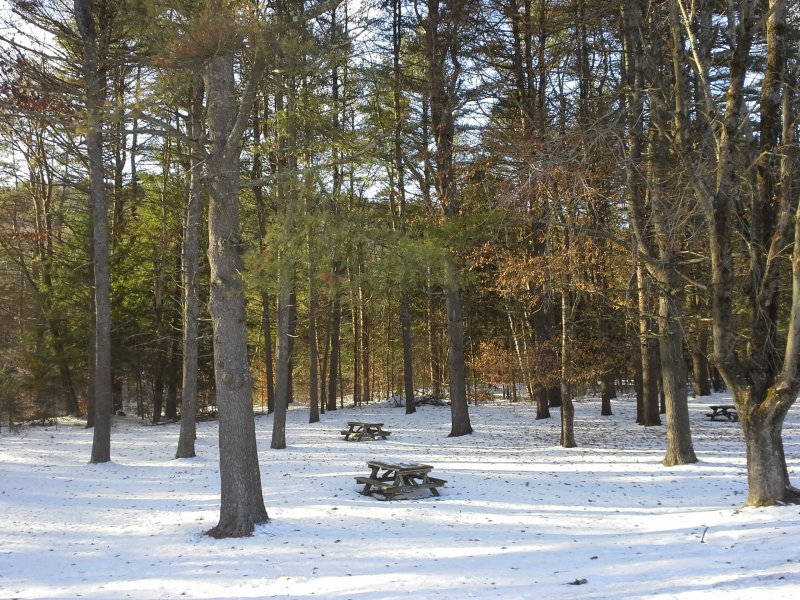 Rest area at I-87 in upstate NY on the way home