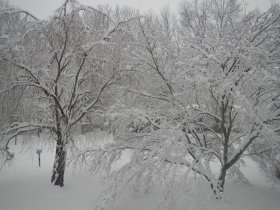 Winter (February 2014) Winter (February 2014)