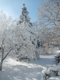 Winter (February 2014) Winter (February 2014)