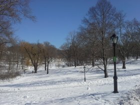 Central Park (February 2014) Central Park (February 2014)
