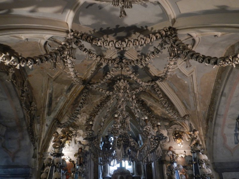 Chandelier made of human bones - they say it contains at least one of every kind of human bones