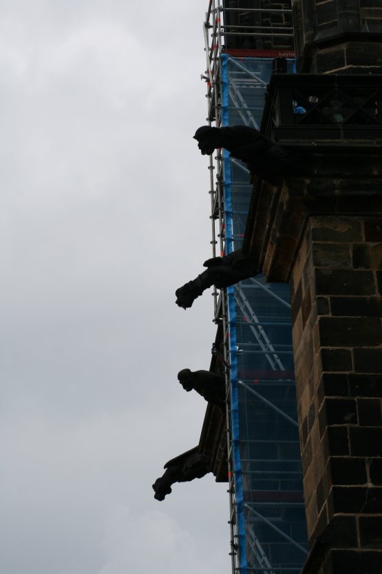 Gargoyles on St. Vitus Cathedral picture 38398