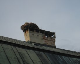 Stork's nest (June 2014) Stork's nest (June 2014)