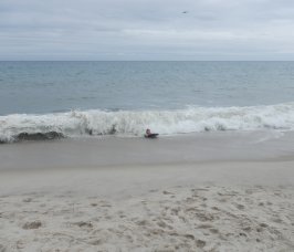 Fire Island (August 2014) Fire Island (August 2014)