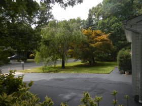 Driveway (August 2014) Driveway (August 2014)