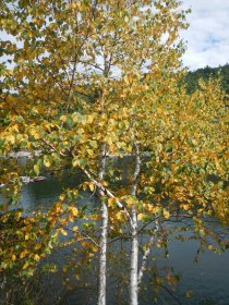 Autumn is coming (August 2014) Autumn is coming (August 2014)