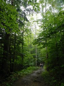 Hike to Black Mountain (August 2014) Hike to Black Mountain (August 2014)