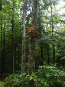 Hike to Black Mountain (August 2014) Hike to Black Mountain (August 2014)