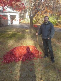 Autumn (November 2014) Autumn (November 2014)