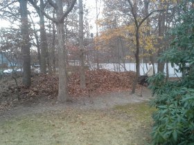 Autumn (November 2014) Autumn (November 2014)