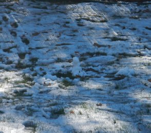 Snowman (November 2014) Snowman (November 2014)