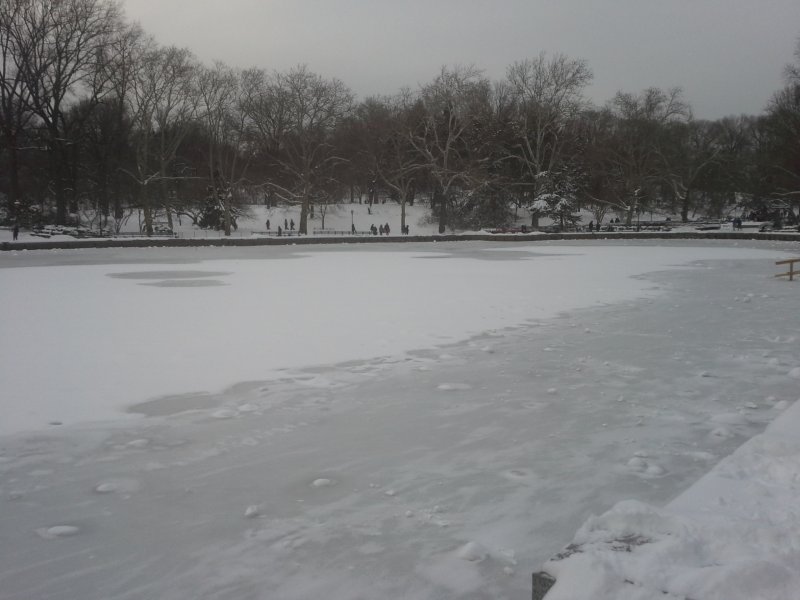 Frozen Conservatory Pond