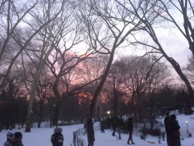 Central Park (January 2015) Central Park (January 2015)