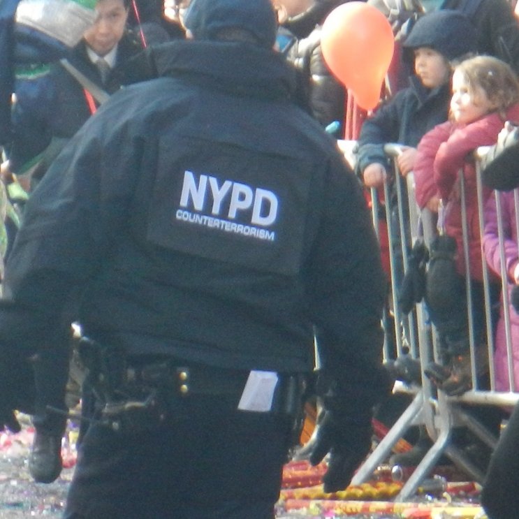 Lunar New Year celebration in Chinatown picture 40434