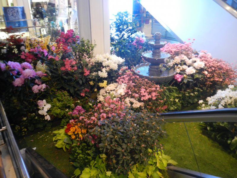 Macy's Flower Show picture 40865